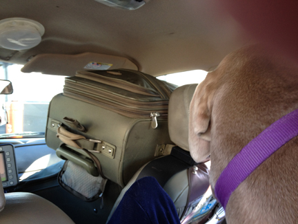 taxi to the airport.jpg